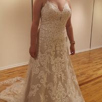 My Wedding Dress Does Not Fit! - 2