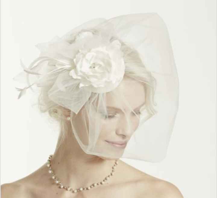 Veil or no veil? - 1