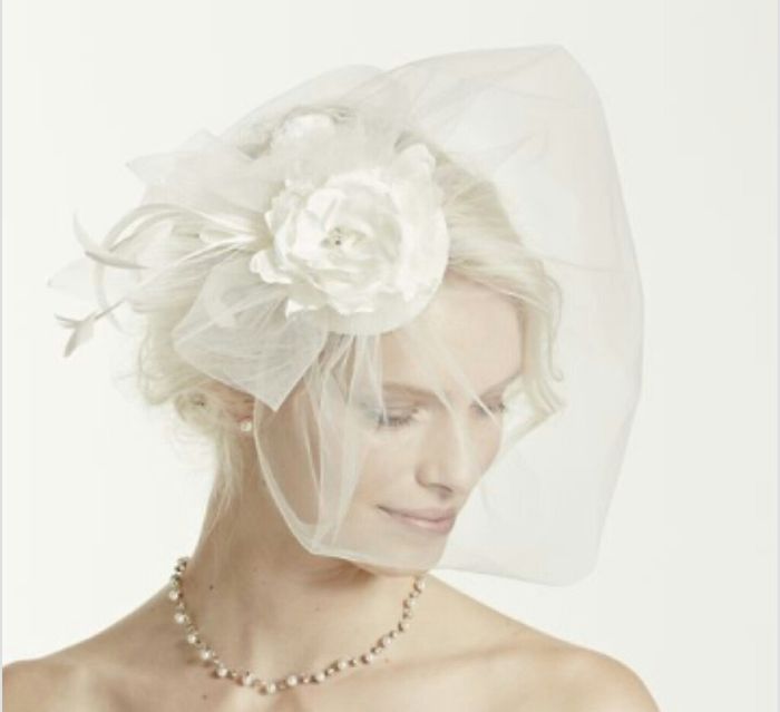 Veil or no veil? - 1