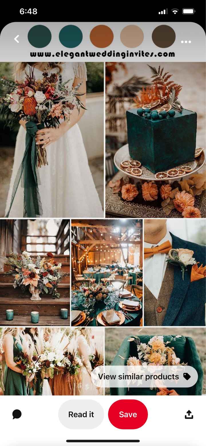 What color looks great with Orange?? - 3