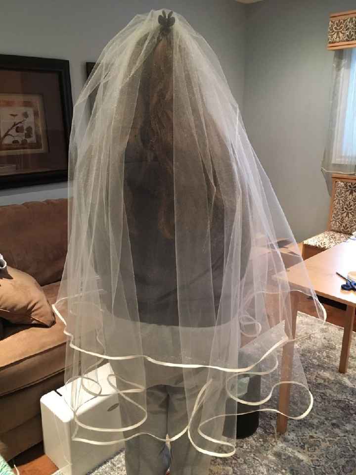 Veil on a Budget - 2