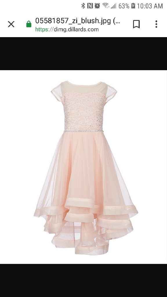 Flower Girl dresses - 1