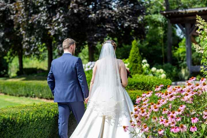 Veil or no veil - 1