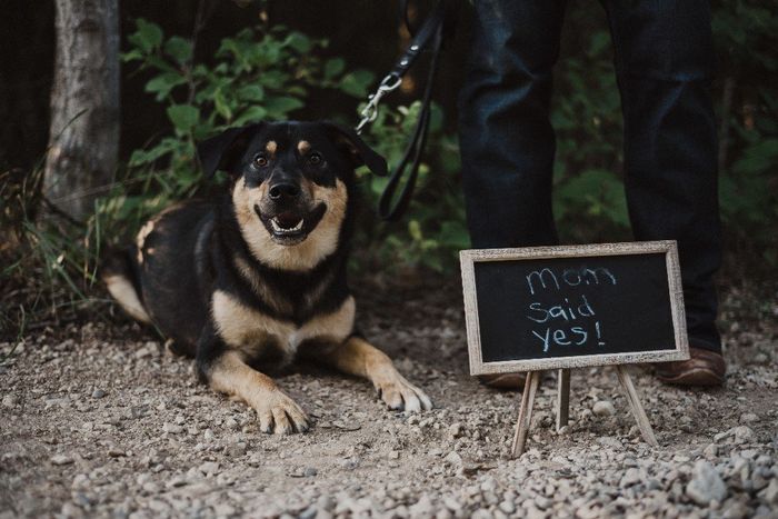 Got my Engagement Photos Back!! 5