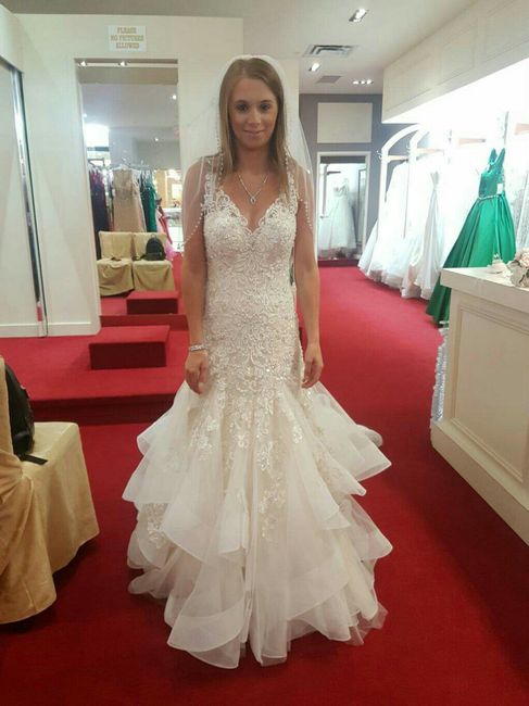 Wedding gown vs bridesmaid dresses. 1