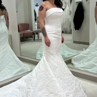Getting Wedding Dress Cold Feet! - 2