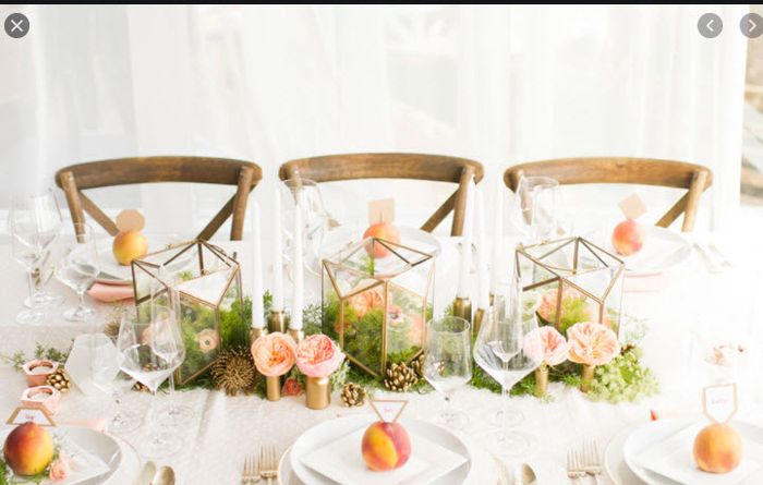 Reception décor and photo inspiration 4