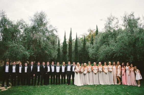 Would you rather... have no wedding party, or a 30 person wedding party? 1