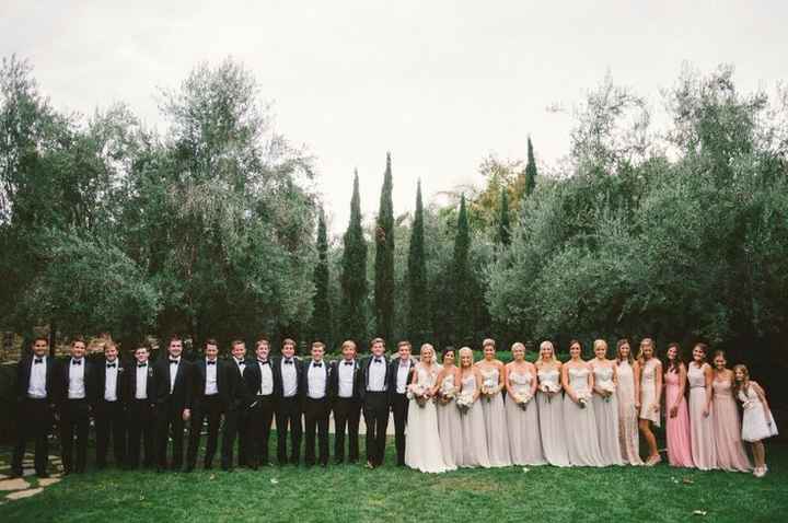 Big Wedding Party