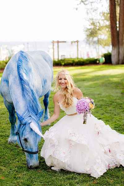 B) A unicorn 