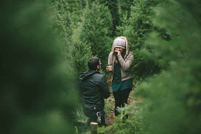 Christmas Tree Proposal