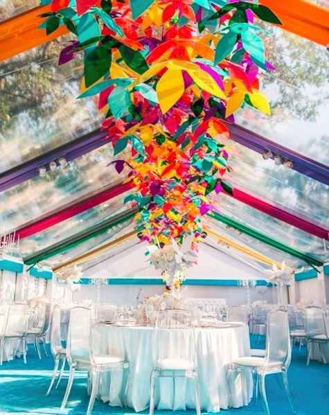 Bright and Bold?