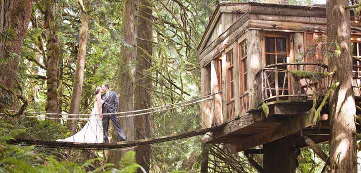In a treehouse?