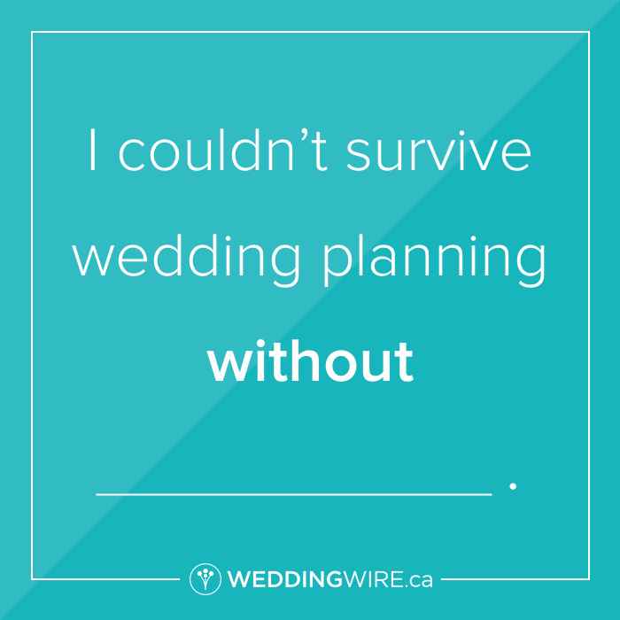 Fill In the blank!  Couldn't survive without?