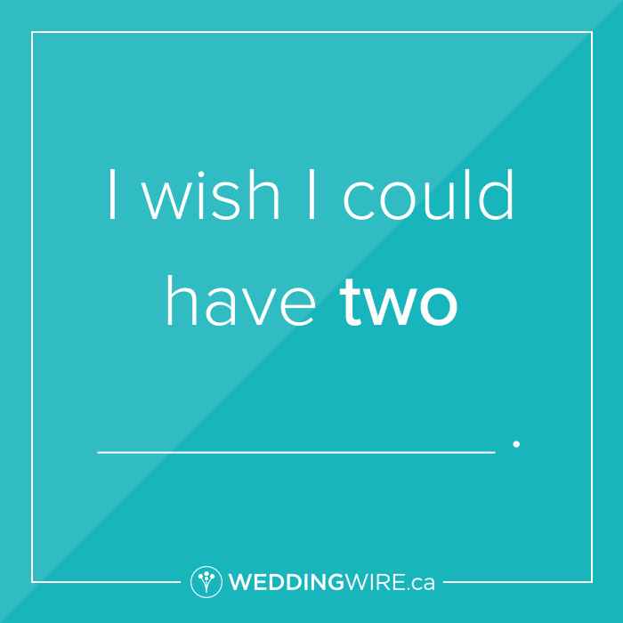 Fill in the blank!  I wish I could have two...