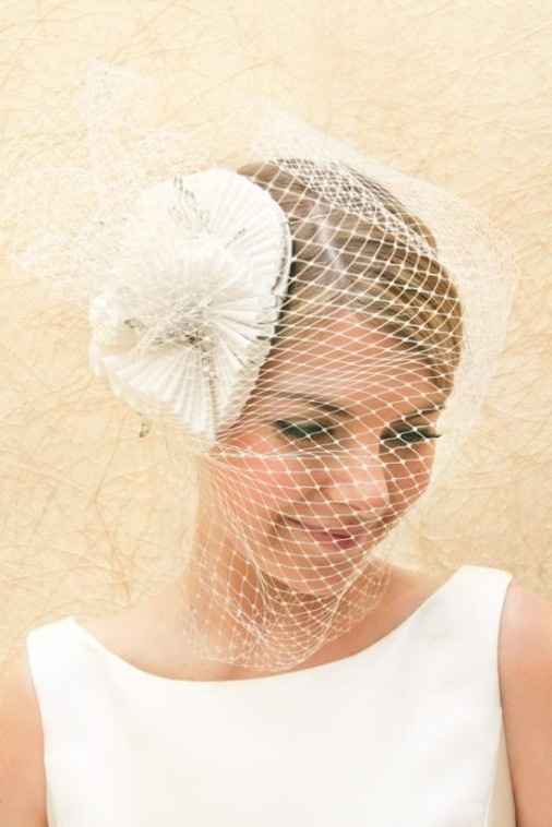 Birdcage Veil