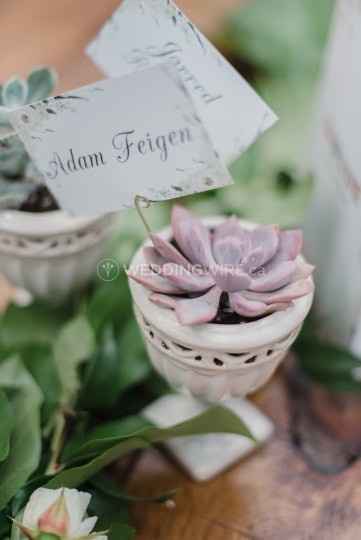 Succulent Favors and Escort Cards from Made by Hana in Toronto