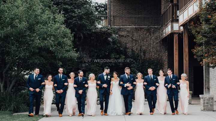 Bridal Party Group Photo - Arms Linked