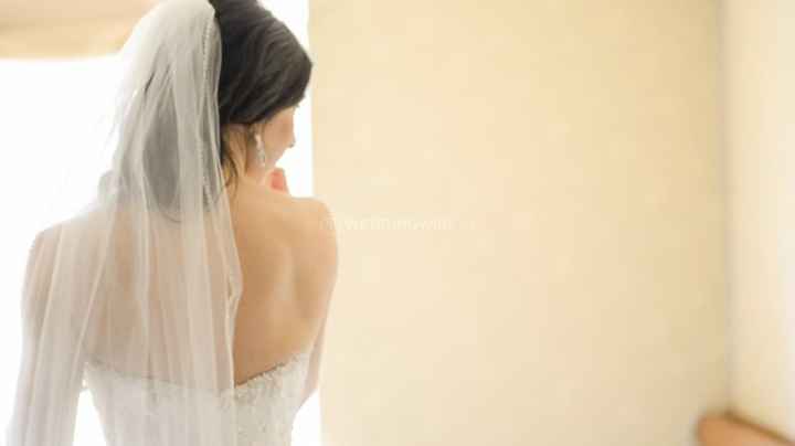 Wedding Veil