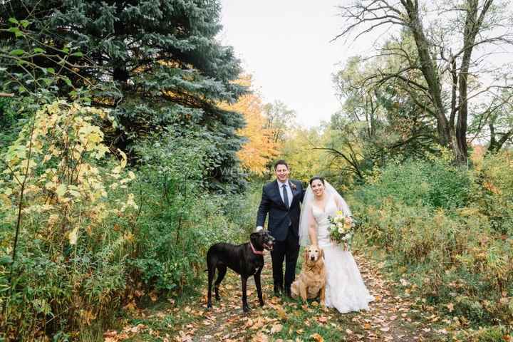 Backyard Wedding with Dogs