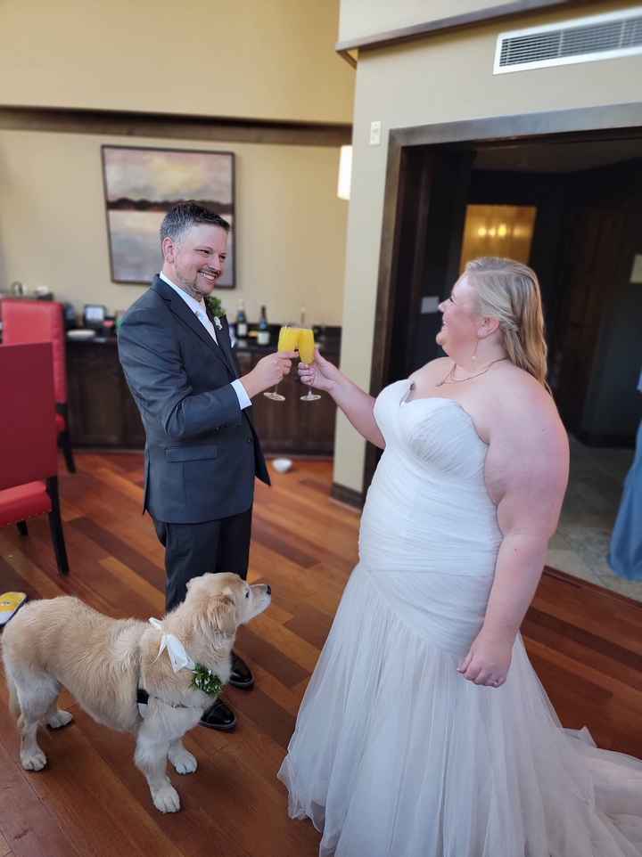 Congrats to the winner of the 70th edition WeddingWire contest! - 3