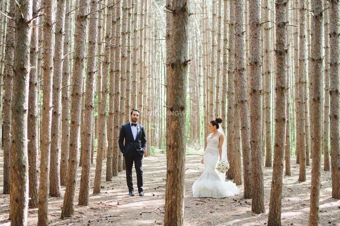 Dramatic Woods Forest Trees Wedding Photography