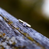 Brides of 2024 - Let's See Your Ring! - 1