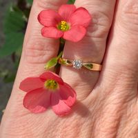 Brides of 2024 - Let's See Your Ring! - 1