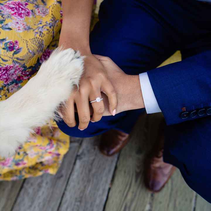 Engagement Photo Red Carpet - Who/What Did You Wear? - 1