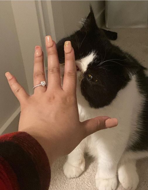 Brides of 2024 - Let's See Your Ring! 4