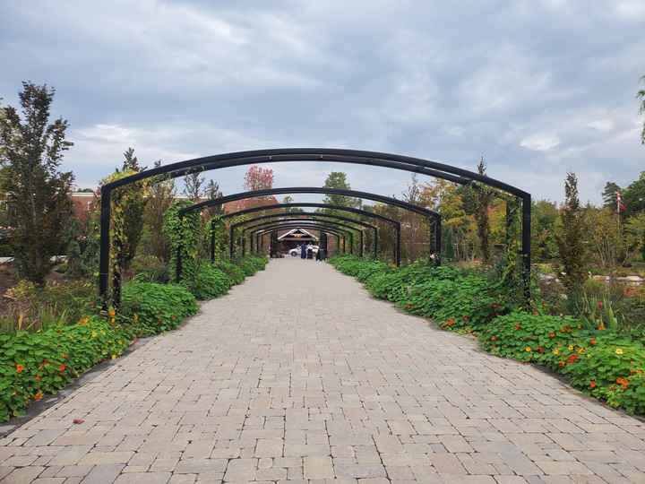 Where will your wedding ceremony take place?! - 4