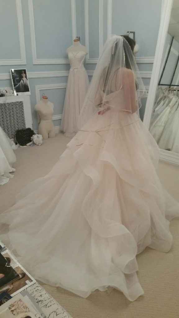 Show off your wedding dress! - 2