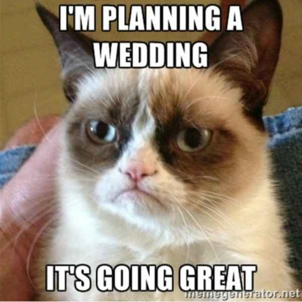 Meme your wedding! - 2