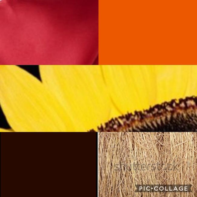 Autumn colour palettes 3