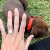 June 12th 2021!