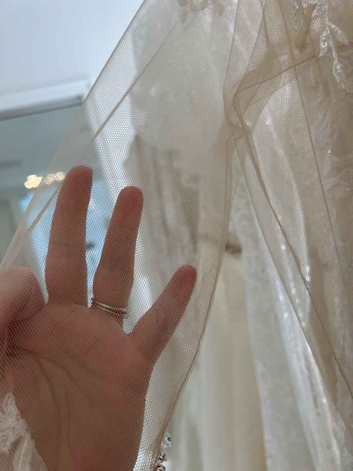 Can someone tell me if this is ilusion mesh?😊 I’m afraid to change it for my dress but i want that i