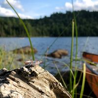 Brides of 2022 - Show Us Your Ring! - 1