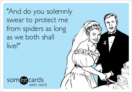 Just for laughs: wedding vows - 1