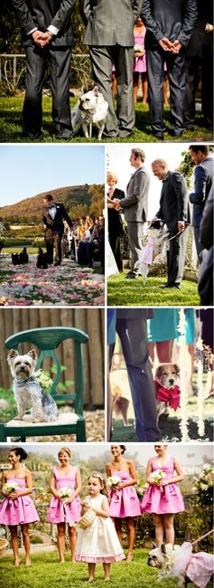 Pets and animals at weddings - 10