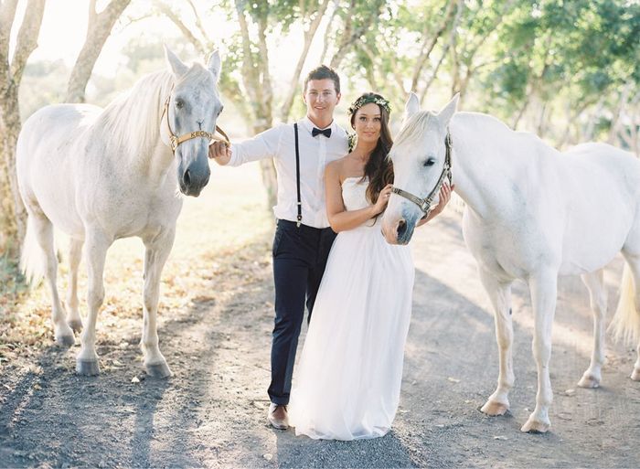 Pets and animals at weddings - 16