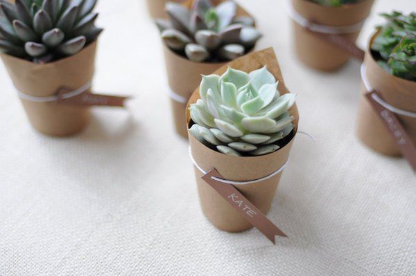 My stress thermometer+ 51 days - 7