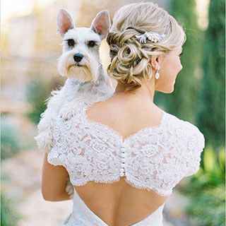Pets and animals at weddings - 2