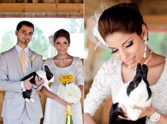Pets and animals at weddings - 6