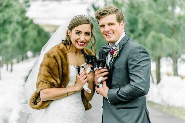 Pets and animals at weddings - 13
