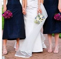 Navy Blue & Purple