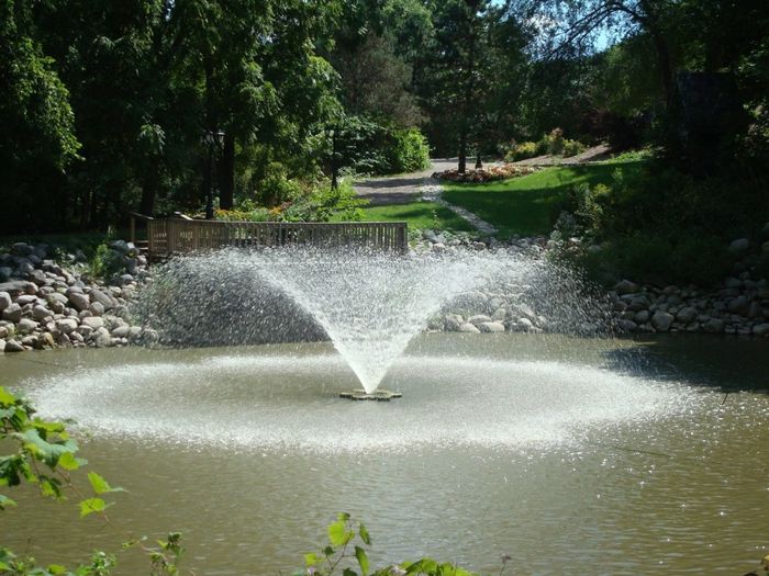 Elm Hurst Inn Pond