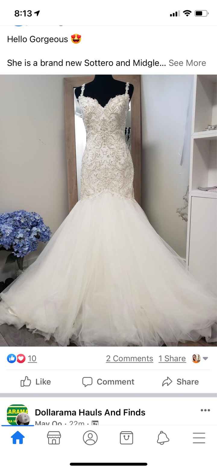 Vision versus the dress you fell in love? - 1