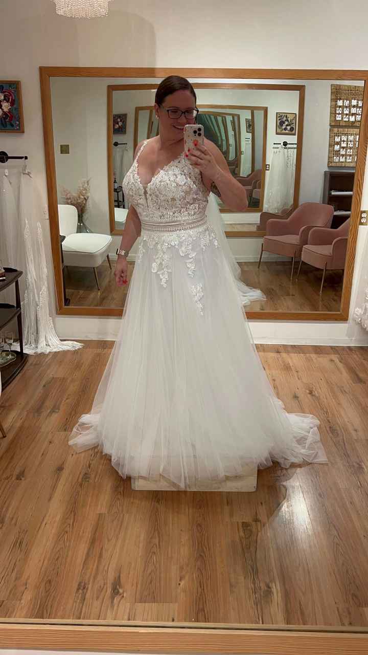 Vision versus the dress you fell in love? - 2