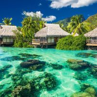 Where would you take your fantasy honeymoon? - 1