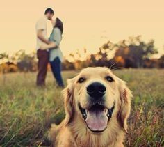 Puppy Pics 